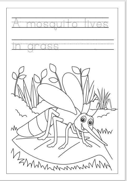 Animal habitats writing coloring book printables made by teachers