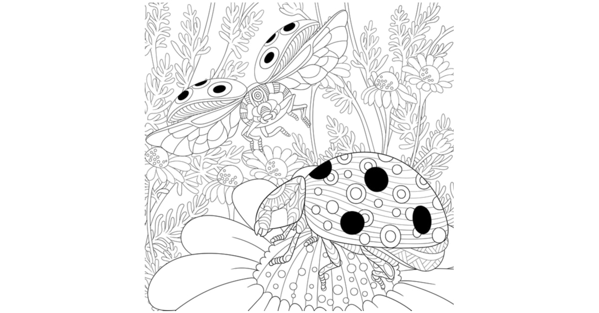 Ladybug coloring pages drawings