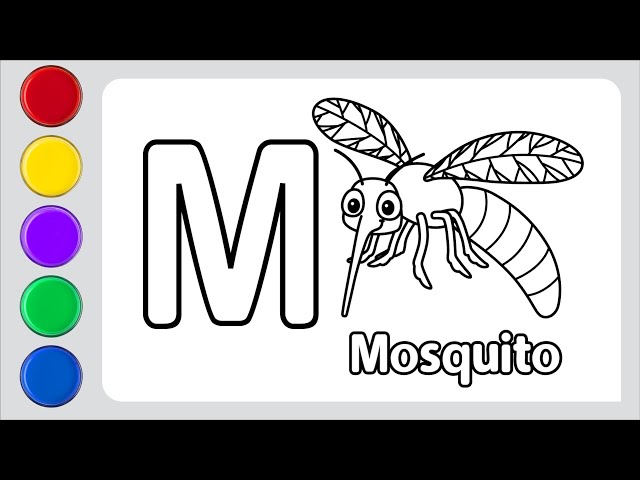 How to draw mosquito and color for kids