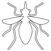 Mosquito coloring pages free coloring pages