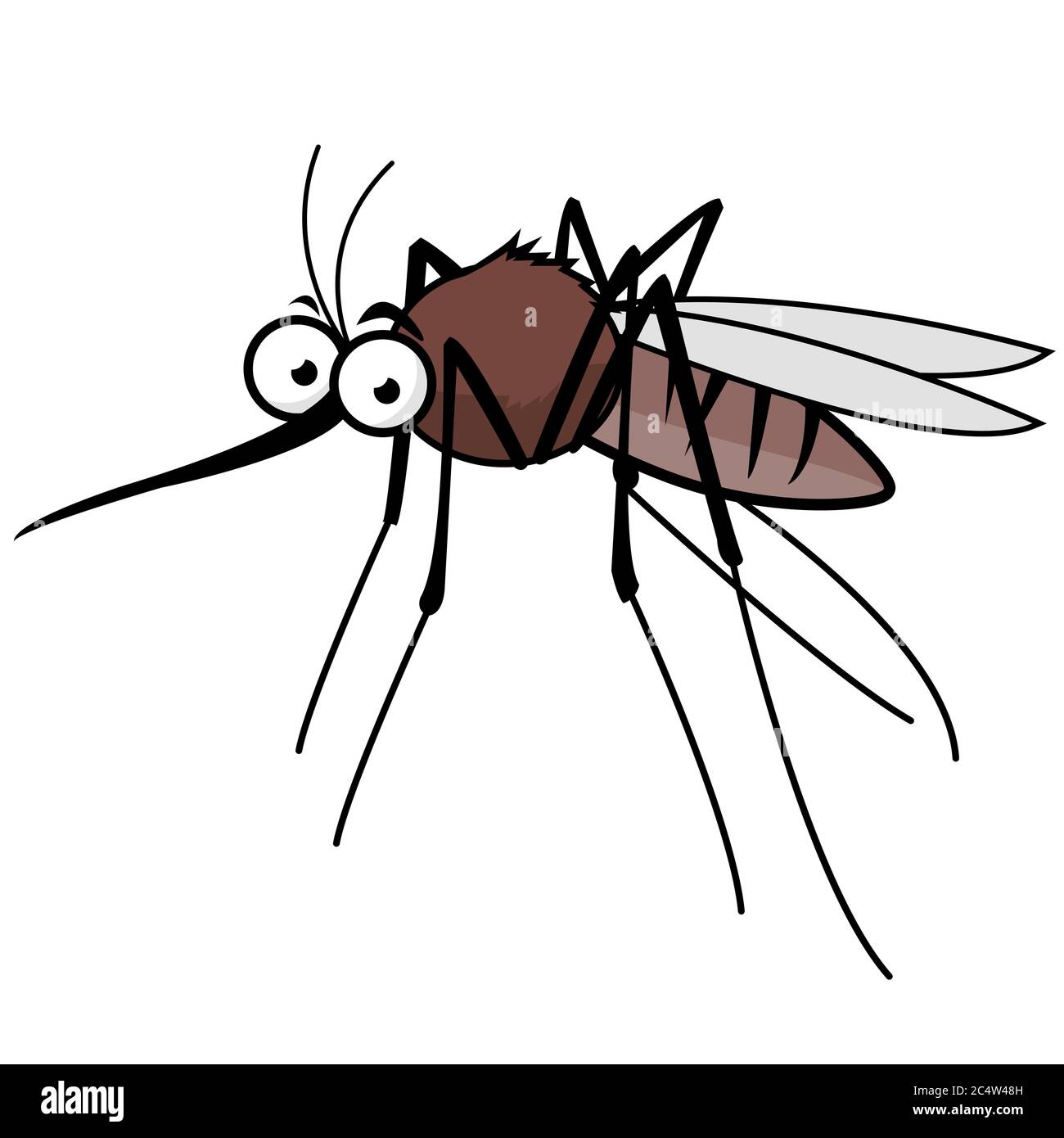 Gnat illustration hi