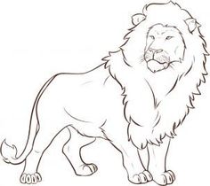 Best mosquito net logo for papa ideas mosquito lion sketch lion pictures