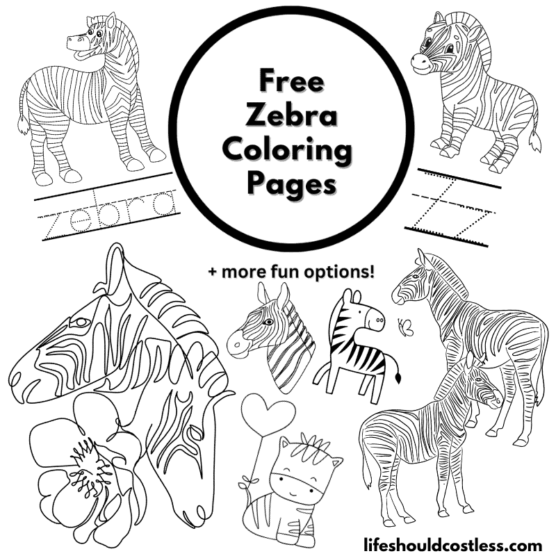 Zebra coloring pages free printable pdf templates