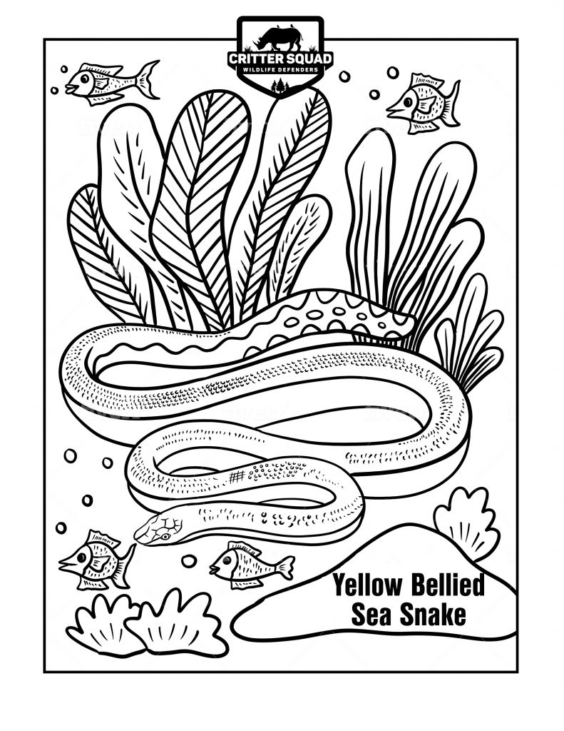 Snake coloring pages