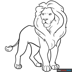 Lion coloring page easy drawing guides