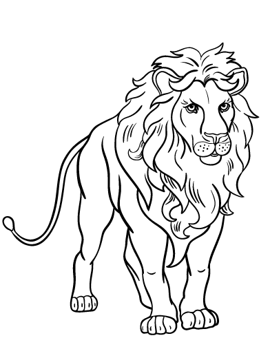 Free lion coloring page