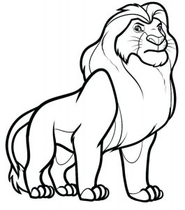 Lion