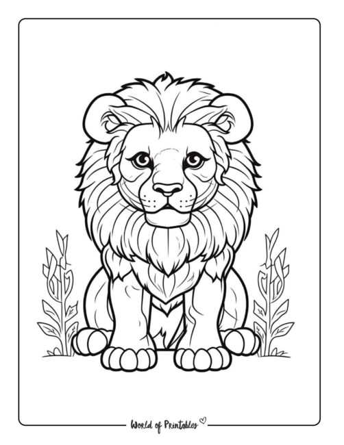 Lion coloring pages for kids adults