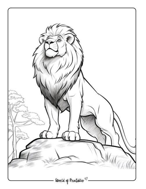 Lion coloring pages for kids adults