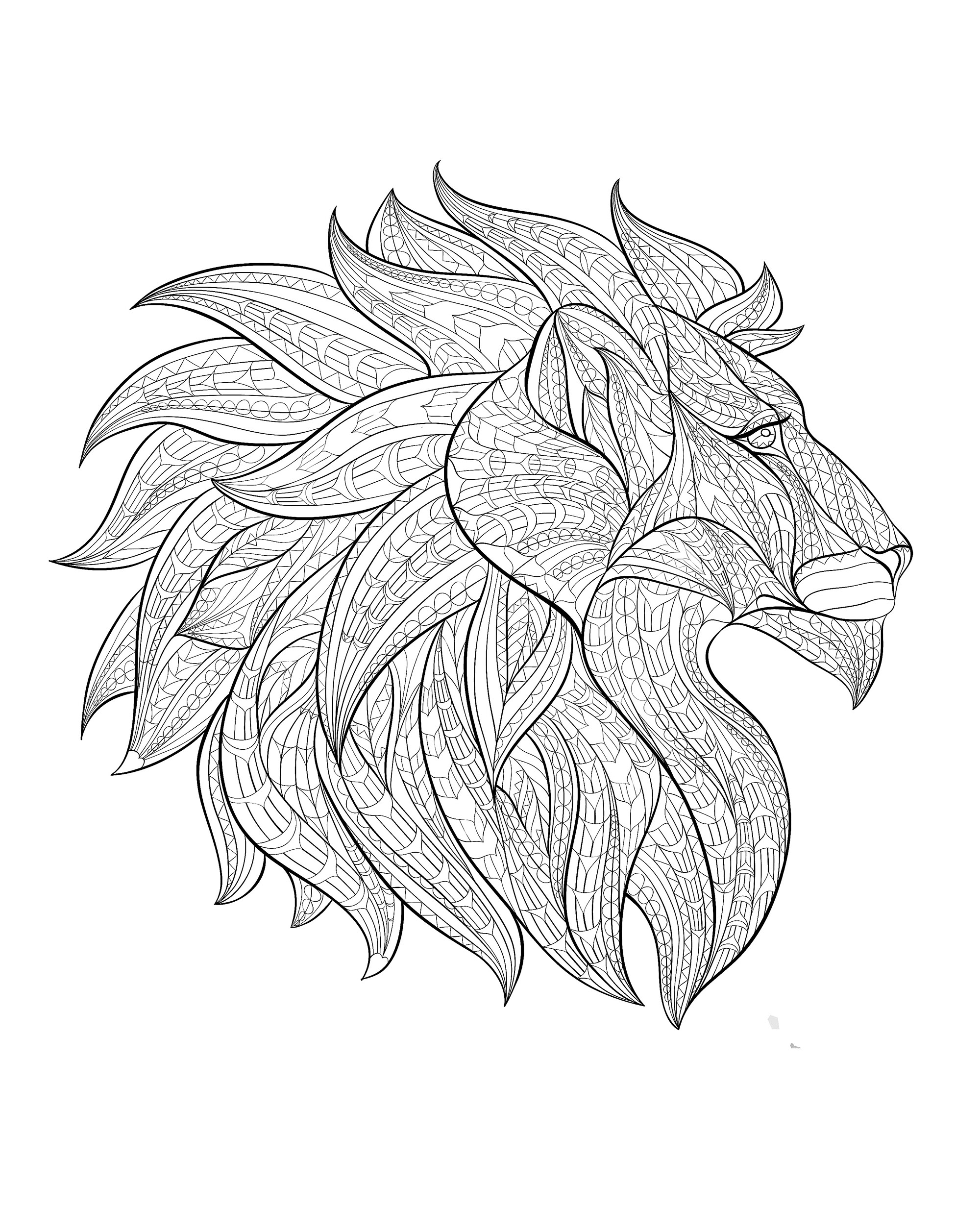 Lion head profile