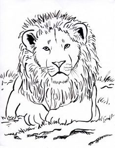 Cool lion coloring pages pdf ideas