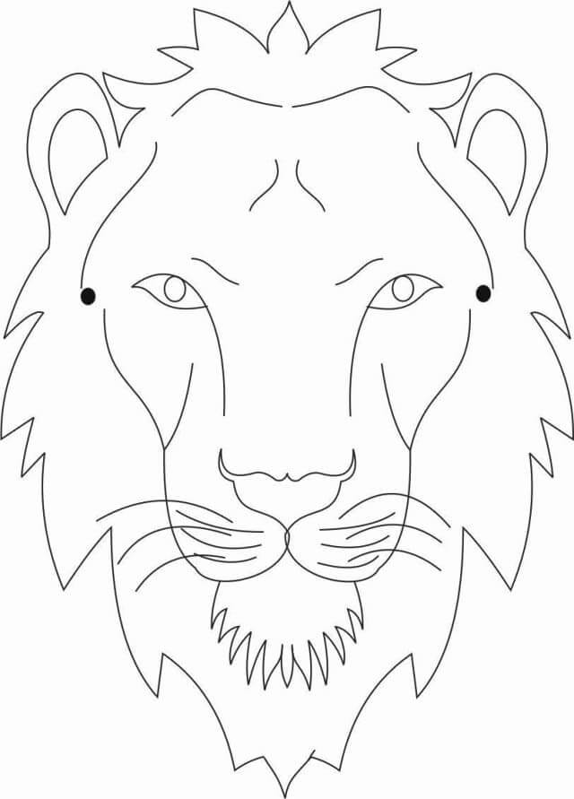 Lion face