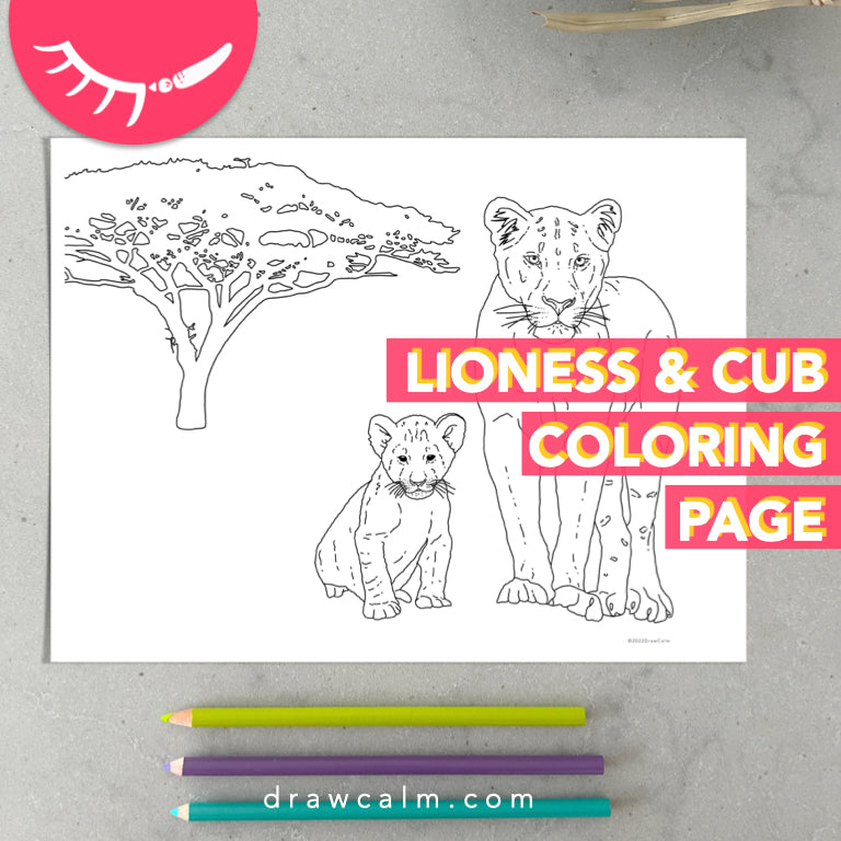 Lioness coloring page â draw calm