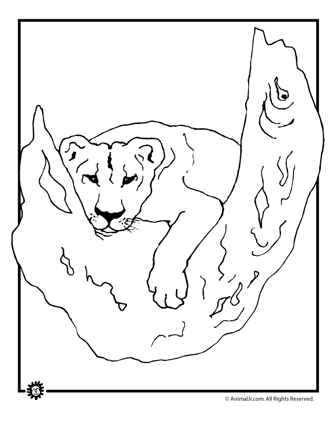 Animal jr lioness in tree coloring page