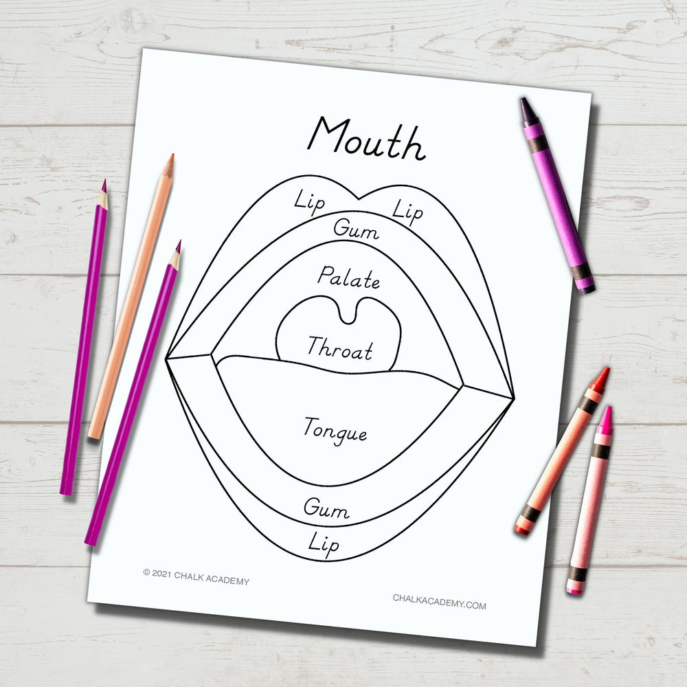 Mouth puzzle coloring page for kids chinese korean english