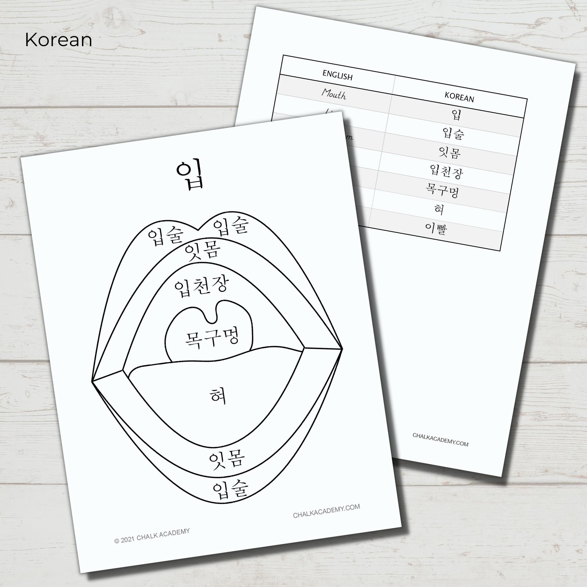 Mouth puzzle coloring page for kids chinese korean english