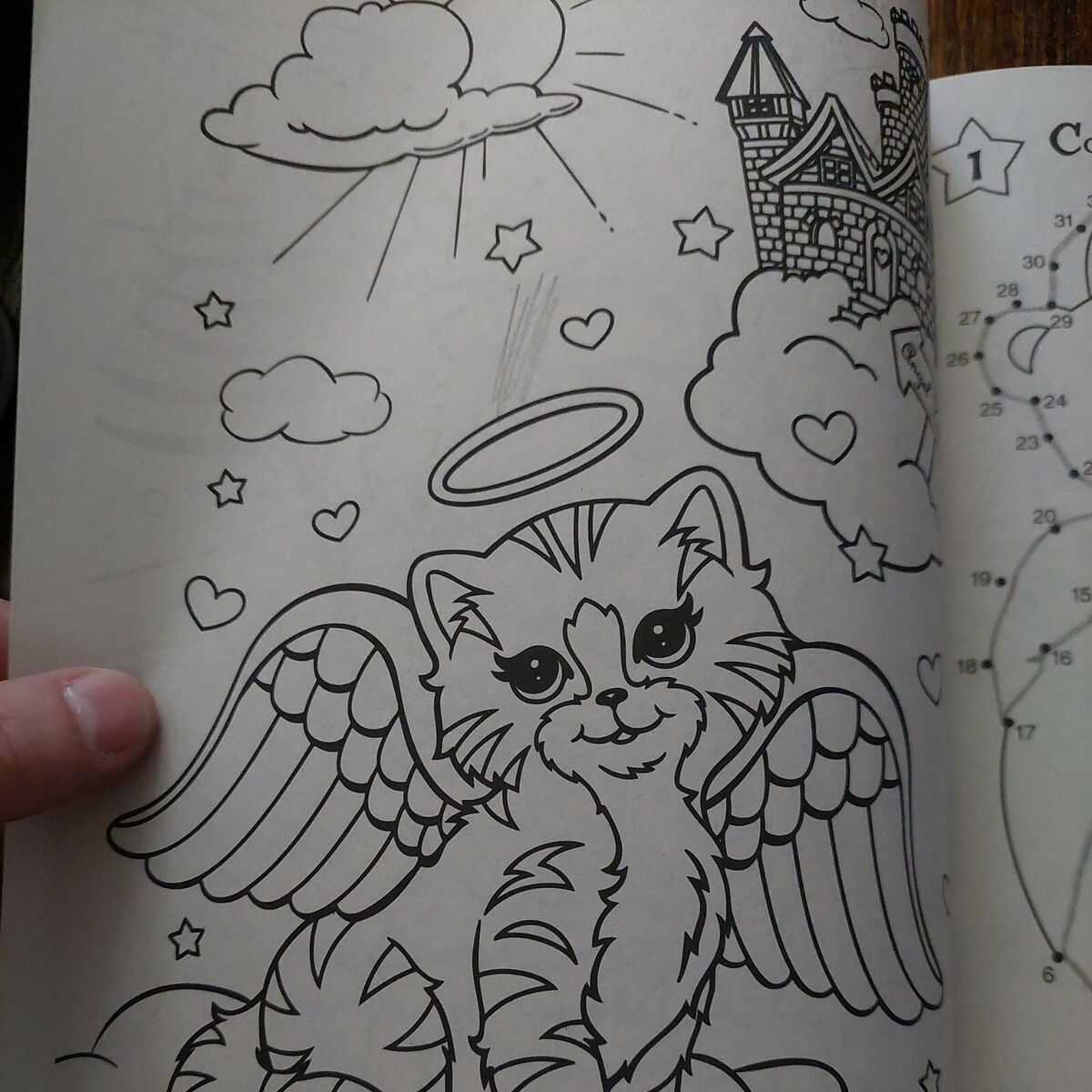 Lisa frank coloring book used condition