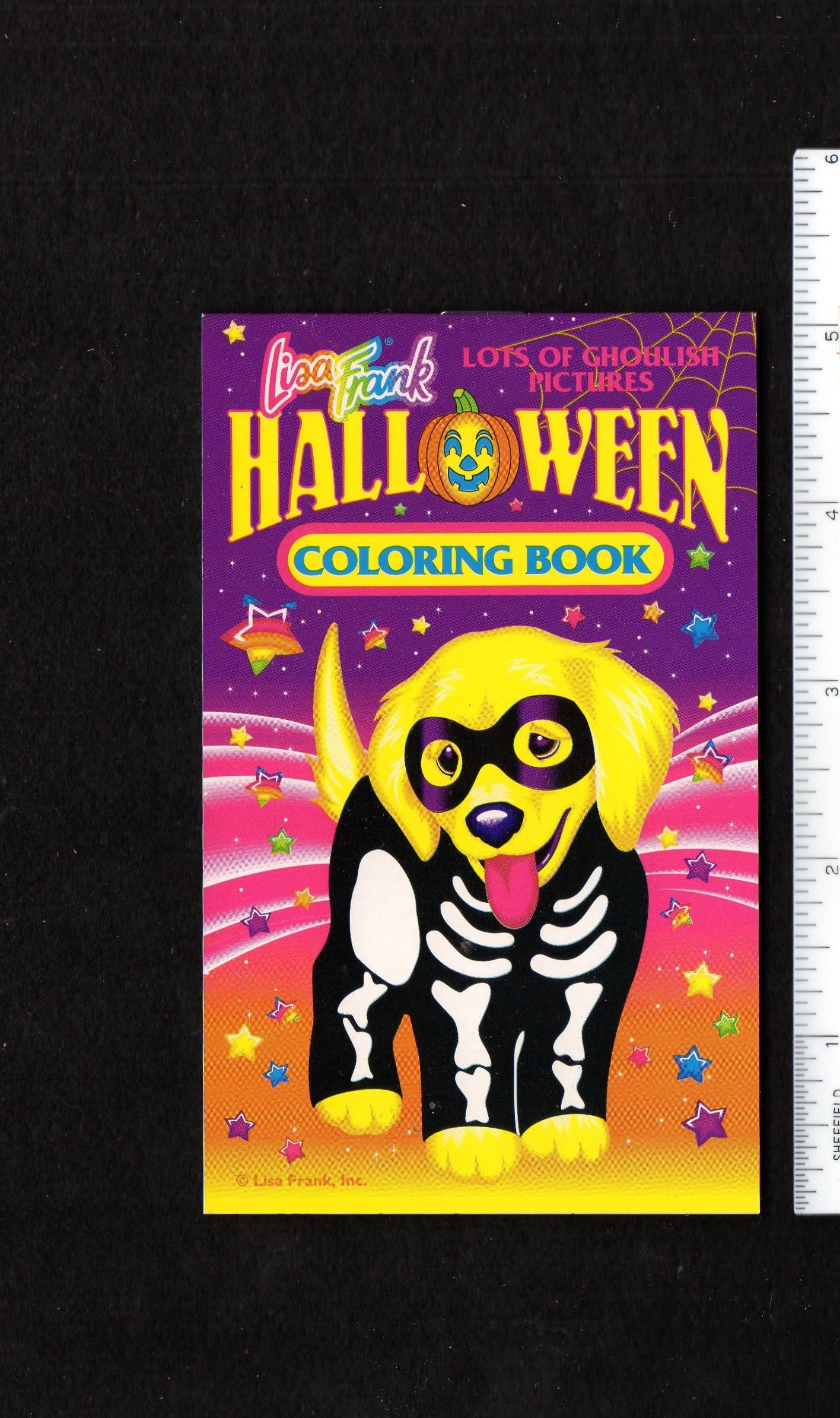 Vintage lisa frank halloween mini coloring book golden retriever puppy wears a skeleton costume pages new old stock x retro s