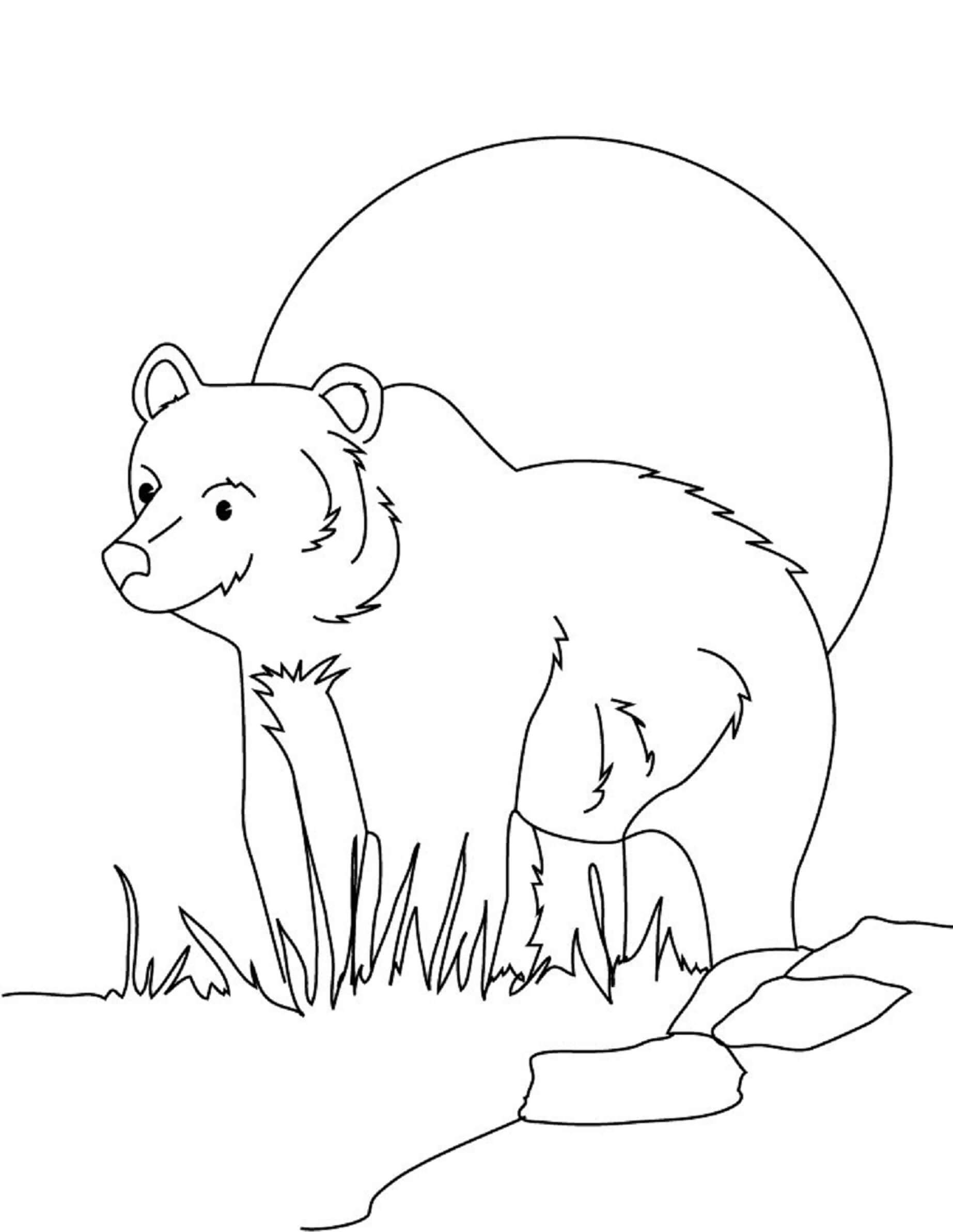 Little bear coloring page