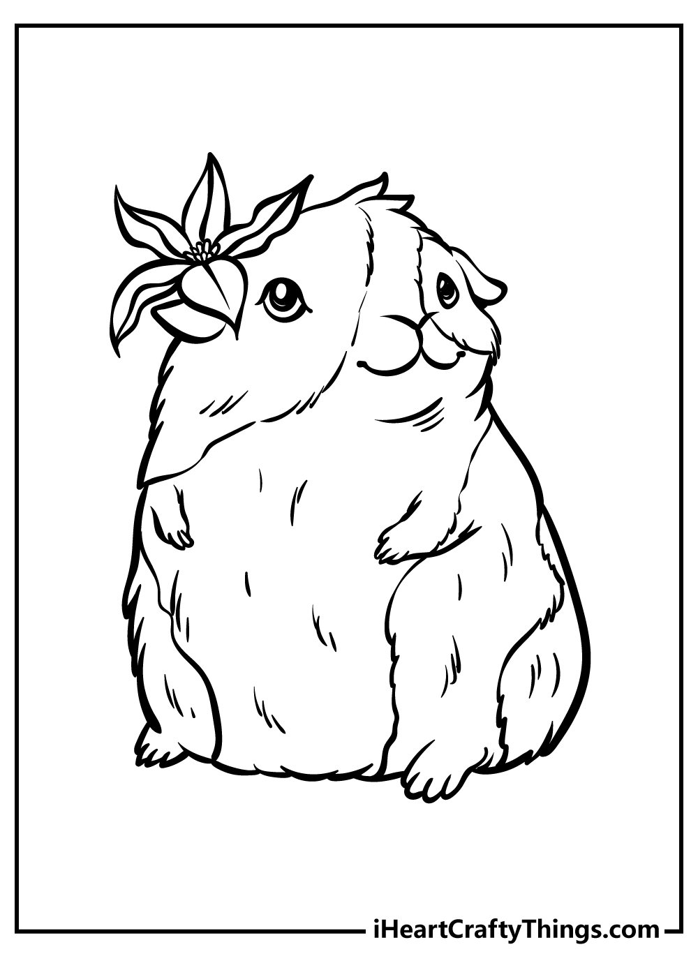 Guinea pig coloring pages free printables