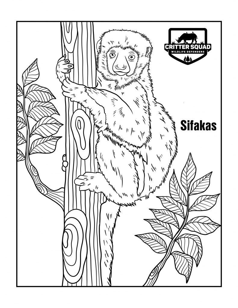 Mammal coloring pages