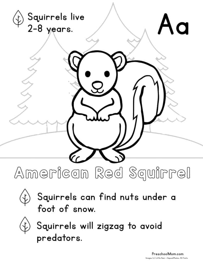 Forest animal coloring pages