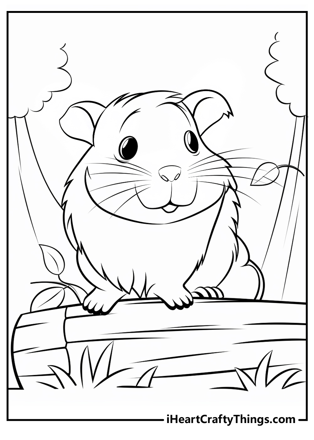 Guinea pig coloring pages free printables