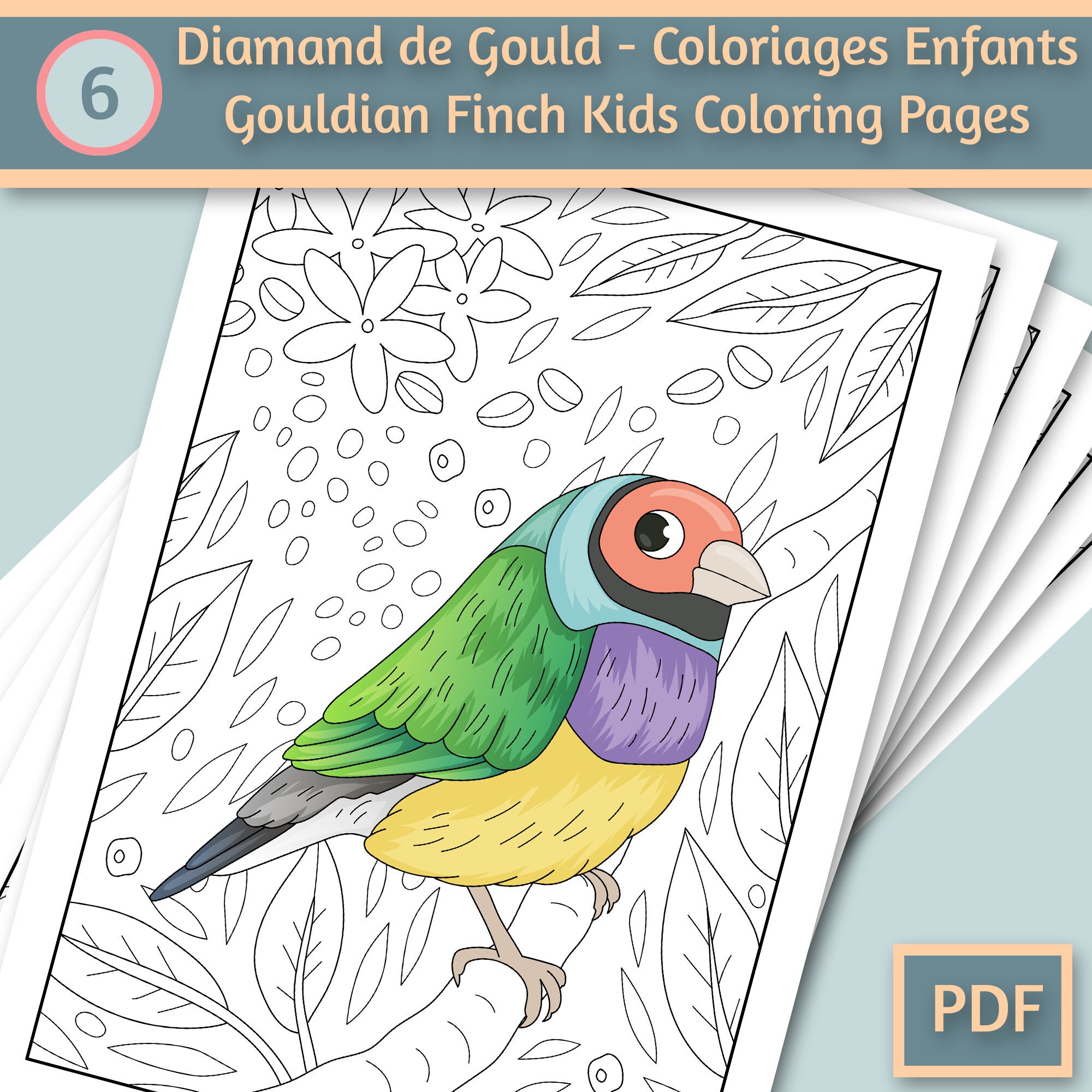 Gouldian finch birds coloring pages for kids coloring book for kids coloring book pdf coloring sheets printable coloring download