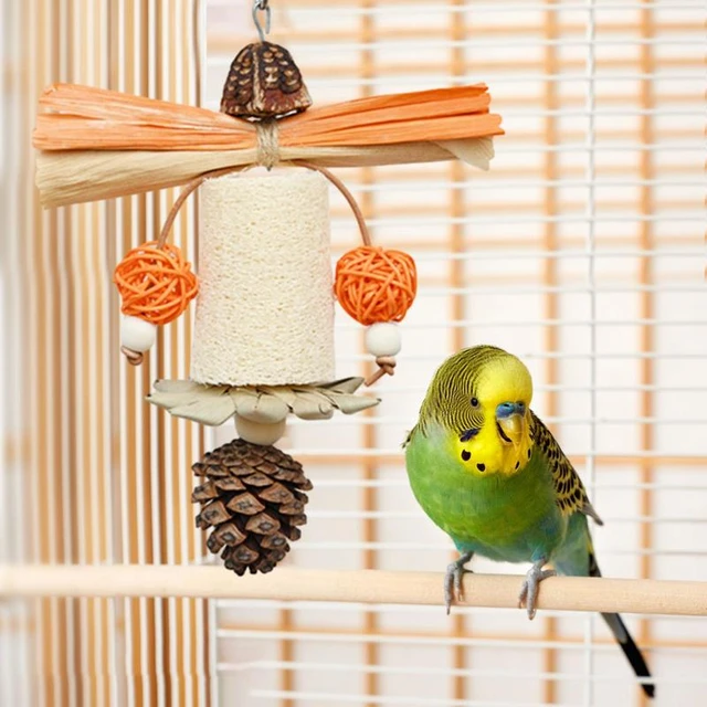 Parakeet toy cockatiel toy bird cage acceorie bird toy for cage hanging chewing toy for parakeet lovebird finch mall