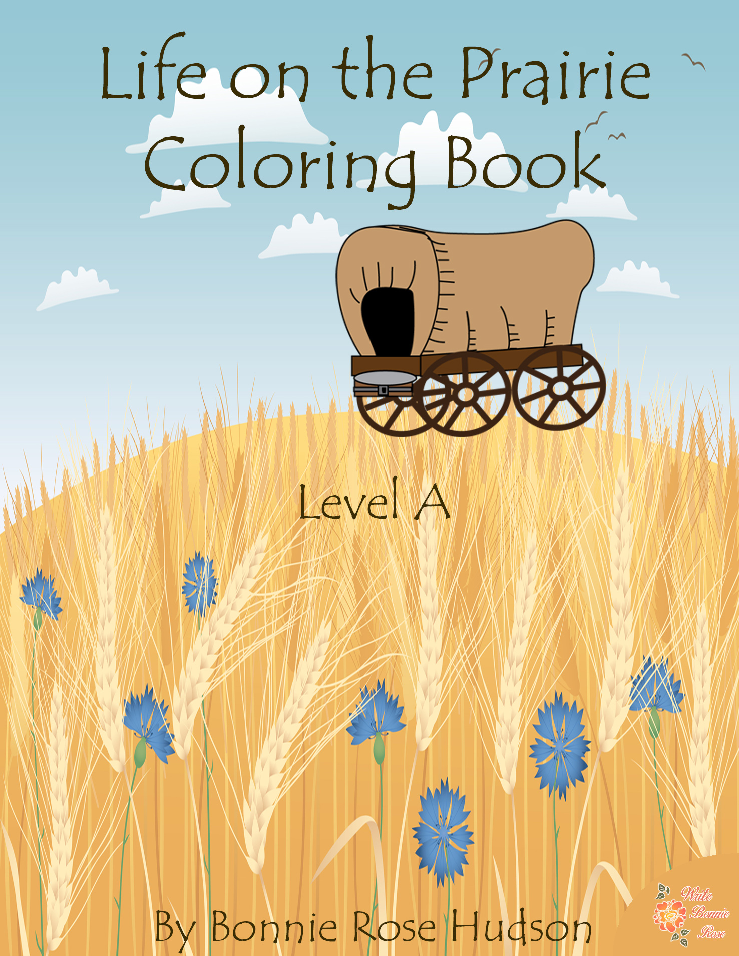 Life on the prairie coloring book