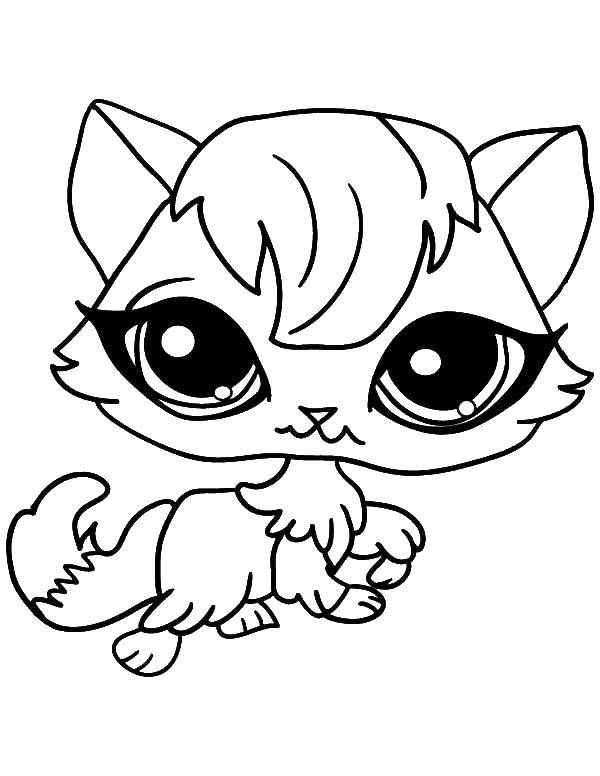 Online coloring pages coloring page kitty from the pet store my little pet shop coloring books for children