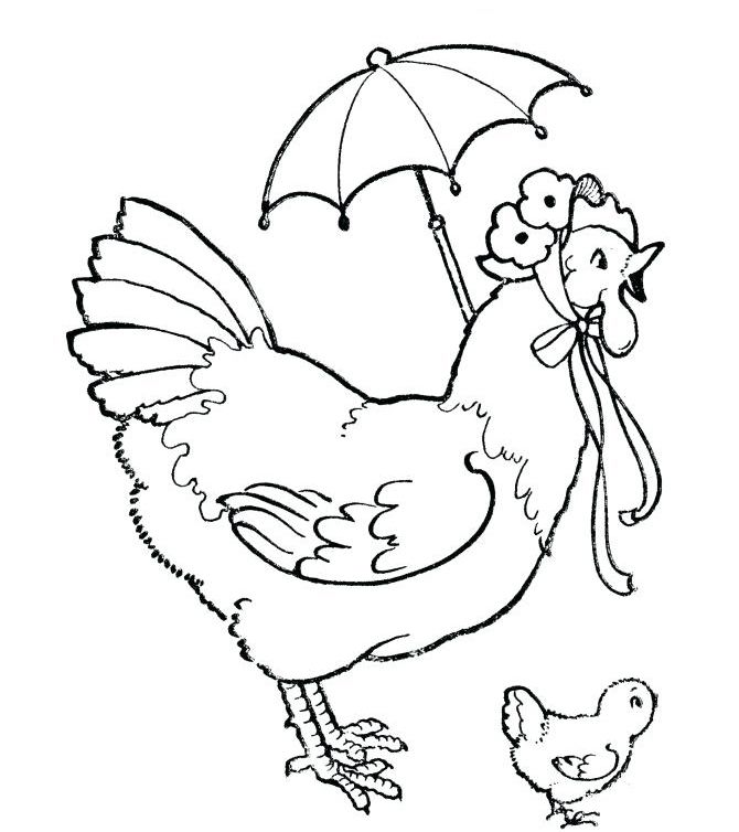 Chicken coloring pages