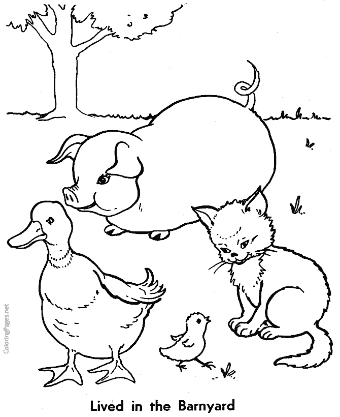 Little red hen coloring pages for kids