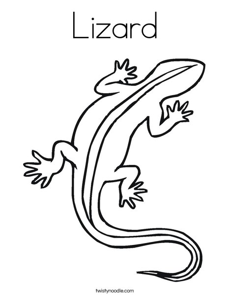 Lizard coloring page