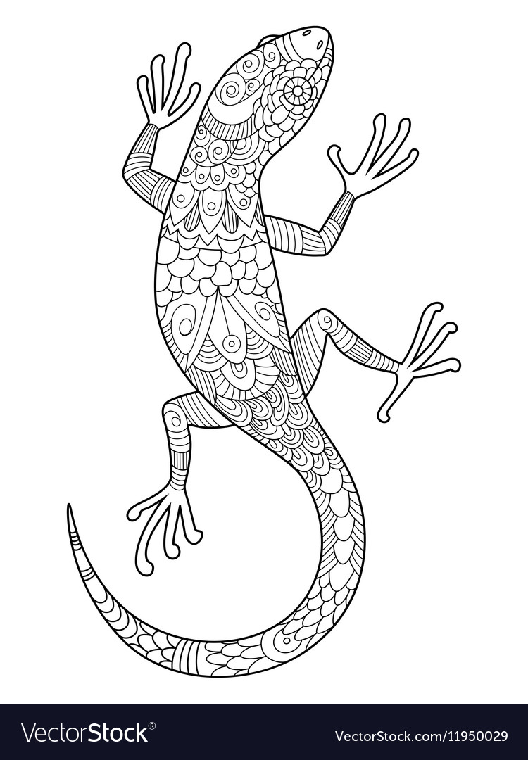 Lizard coloring book for adults royalty free vector image