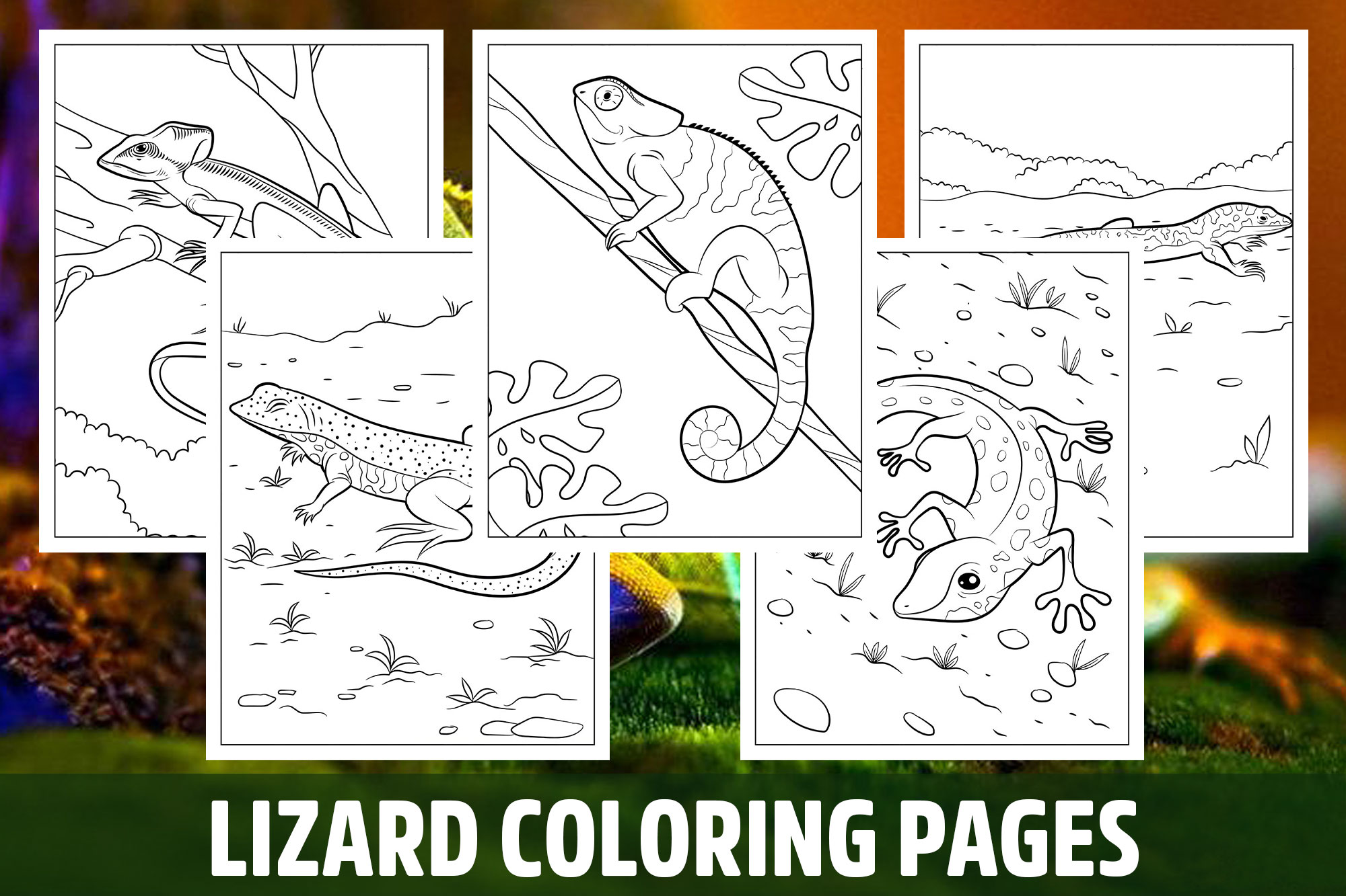 Lizard coloring pages for kids girls boys teens birthday school activity made by teachers