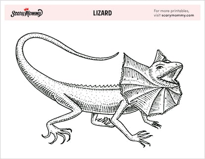 These lizard coloring pages are one in a chameleon