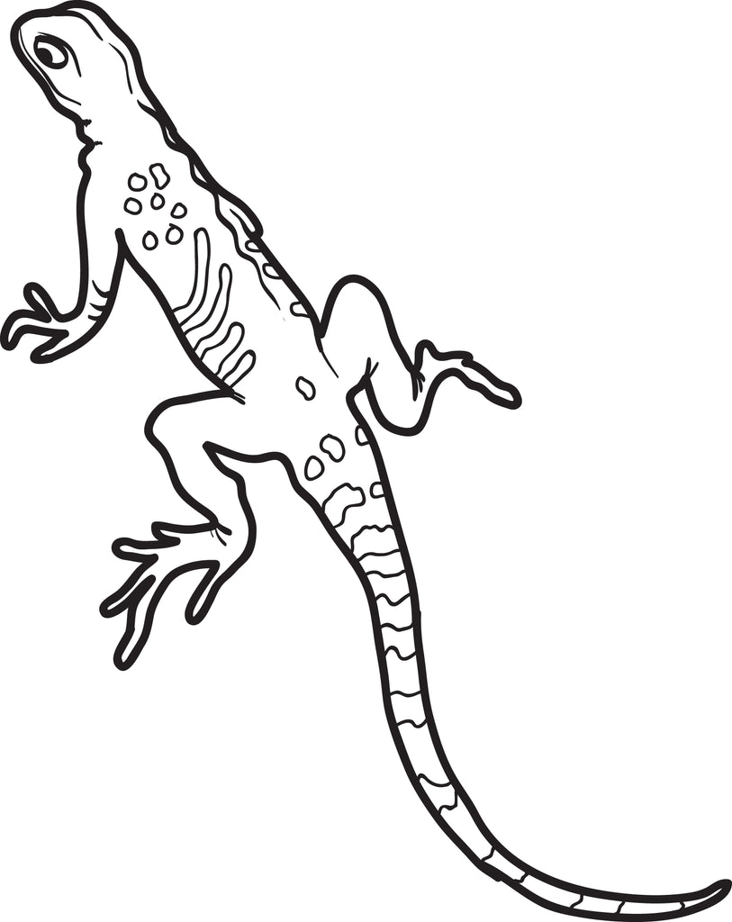 Printable lizard coloring page for kids â