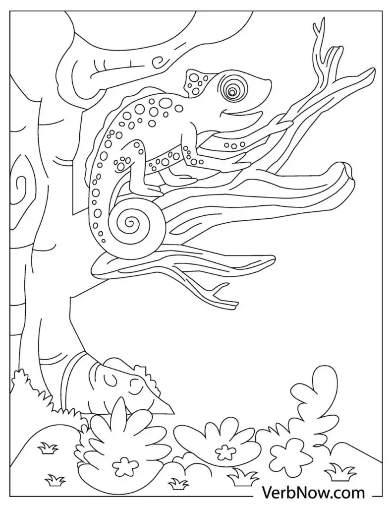 Free lizards coloring pages for download printable pdf