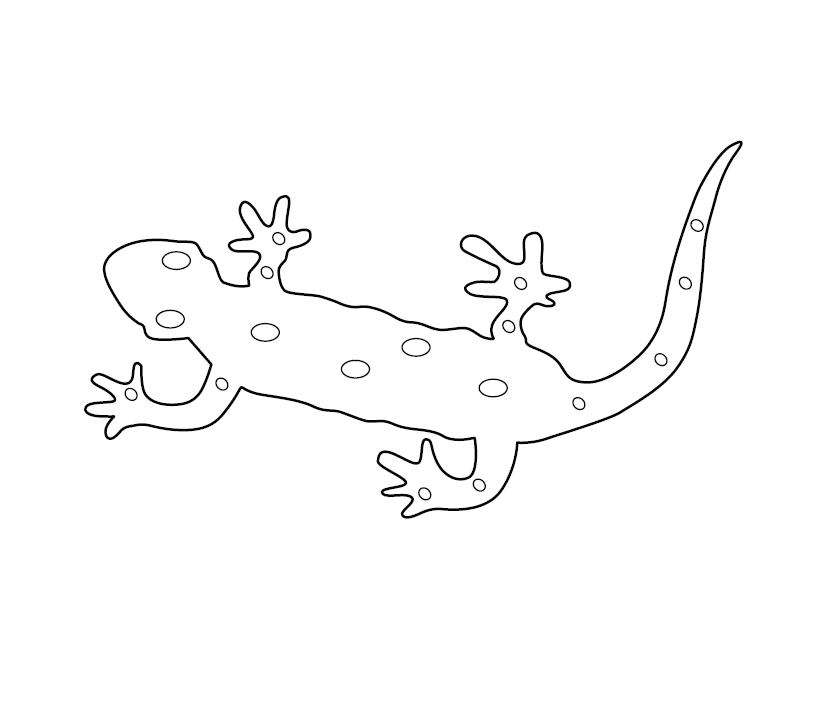 Lizard colouring picture free colouring book for children â monkey pen store