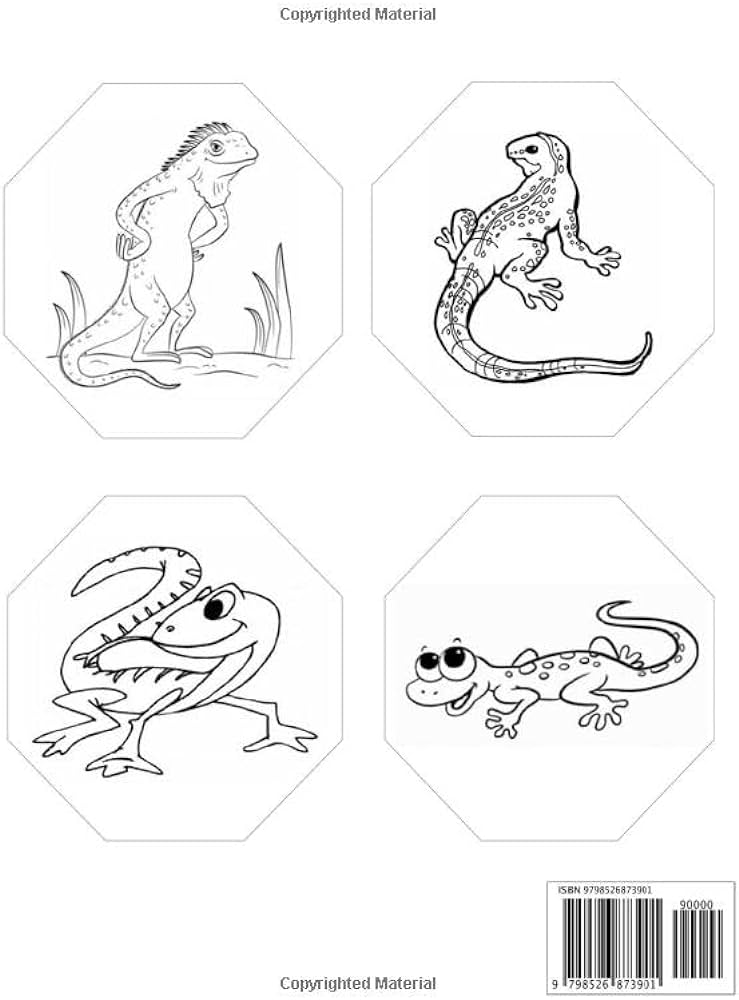 Lizard coloring book for boys super fun edutional coloring pages of lizard for little childrens ages