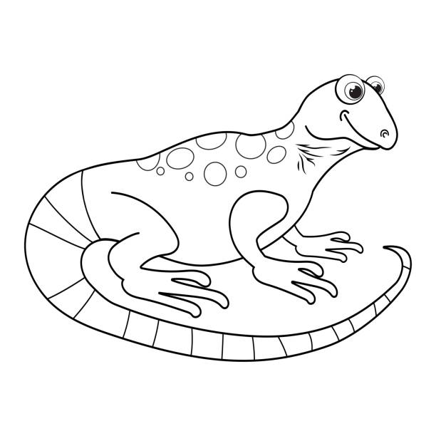 Colorless cartoon lizard coloring pages template page for coloring book of funny iguana or salamander for kids practice worksheet or antistress page for child cute outline education game eps stock illustration