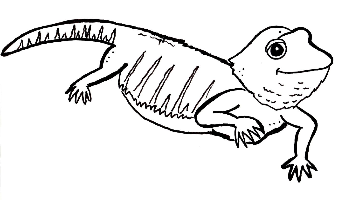 Free printable lizard coloring pages for kids