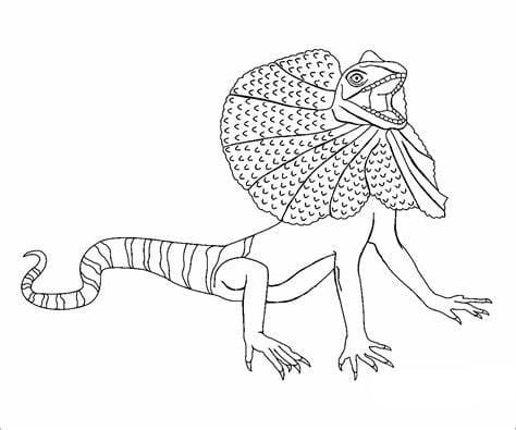 Lizards coloring pages