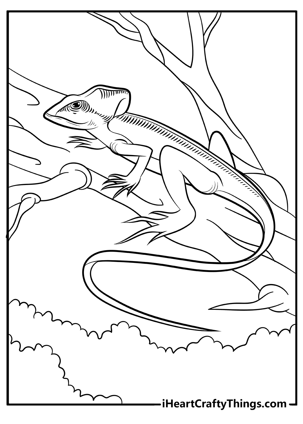 Lizard coloring pages free printables