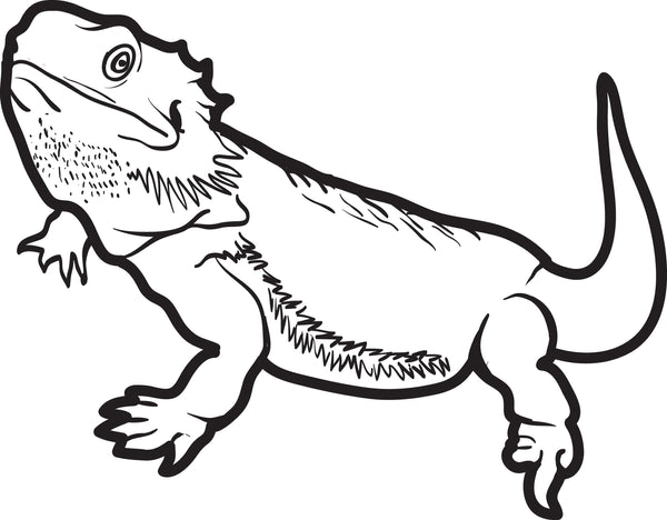 Printable lizard coloring page for kids â