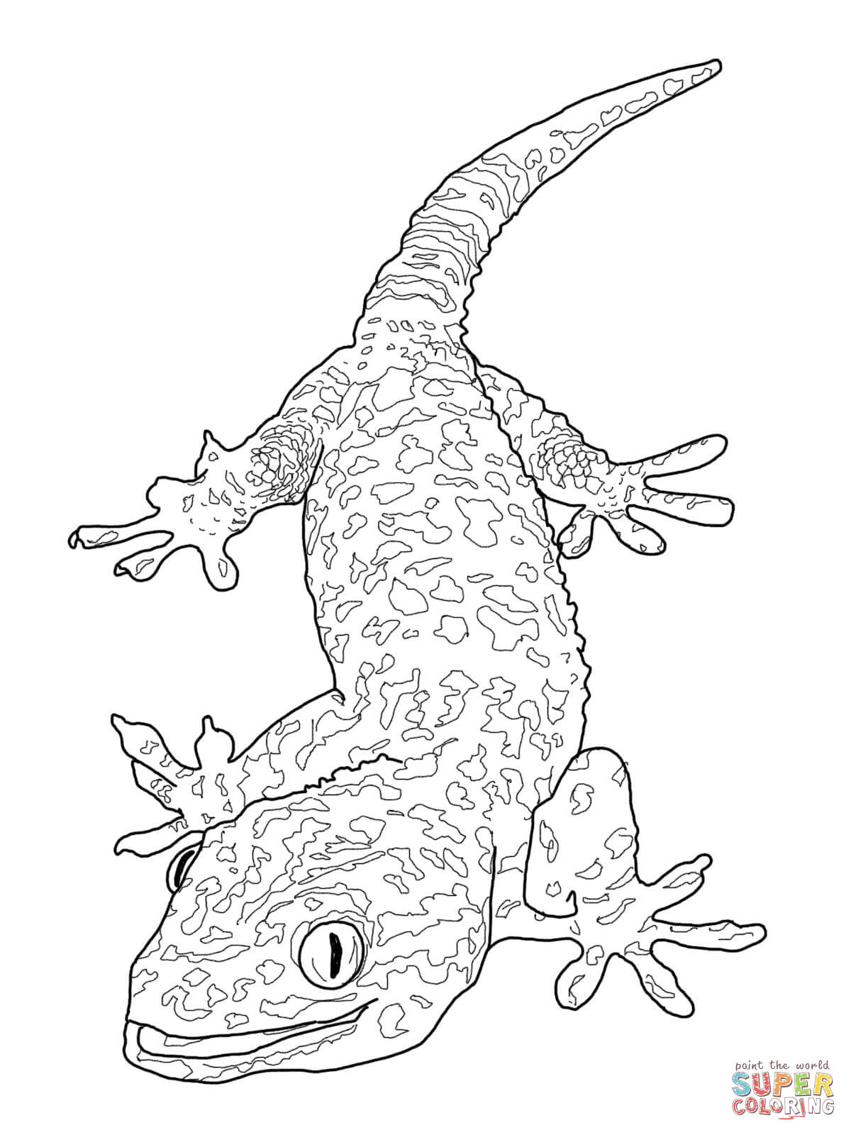 Tokay gecko coloring page free printable coloring pages