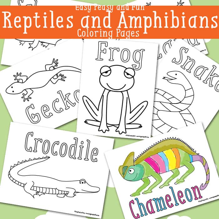 Reptile coloring pages