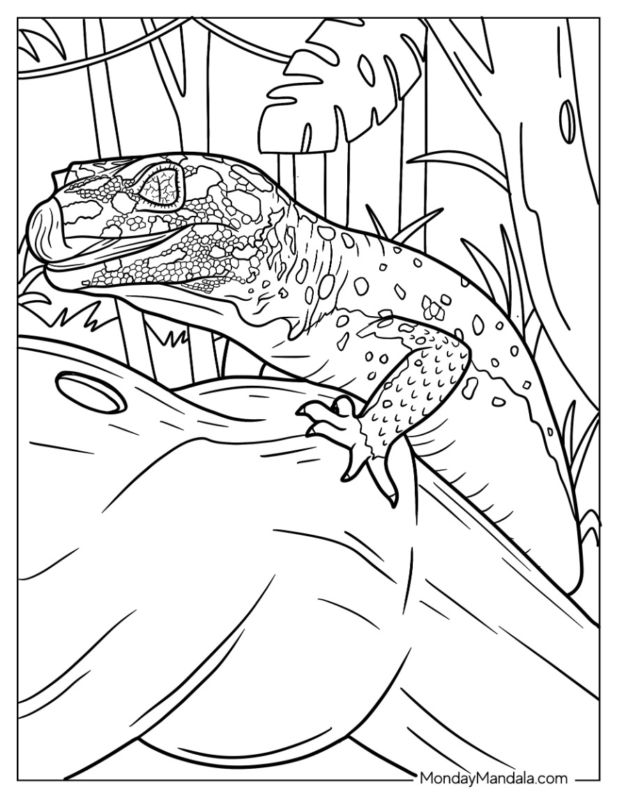 Lizard coloring pages free pdf printables