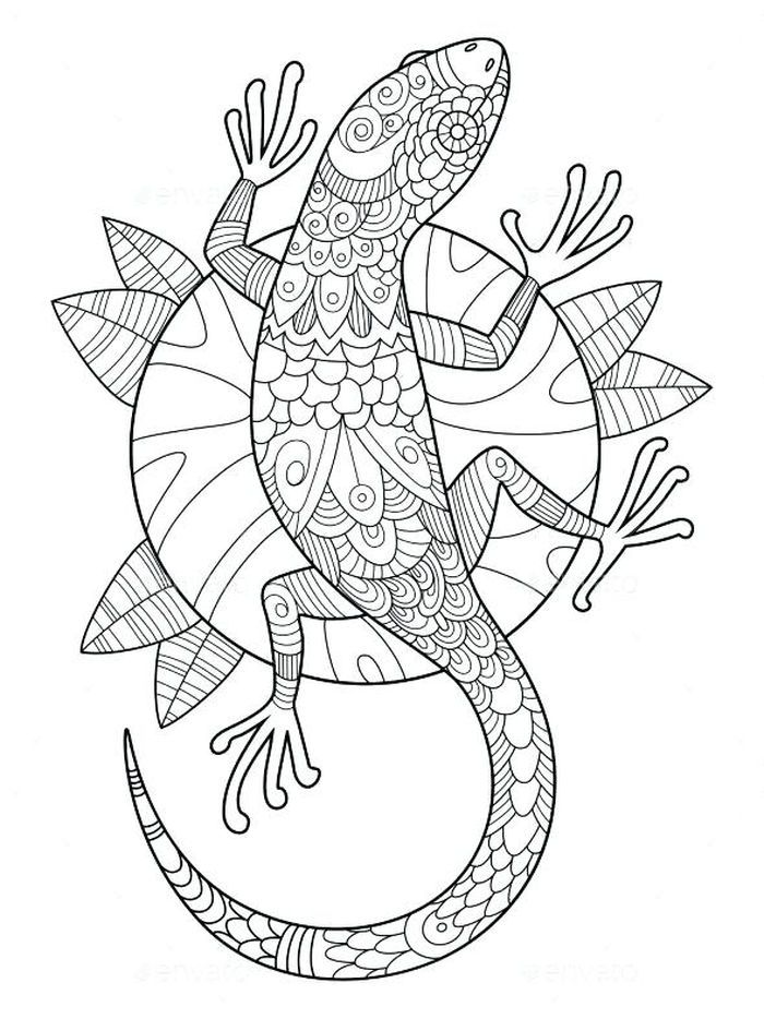 Printable lizard coloring pages pdf mandala coloring pages antistress coloring adult coloring pages